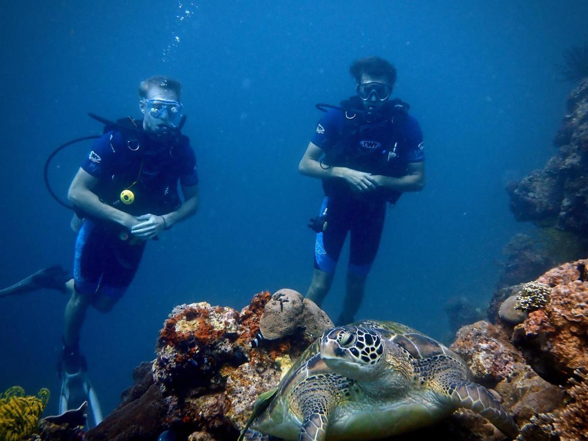 Alegria Dive Resort Kültér fotó